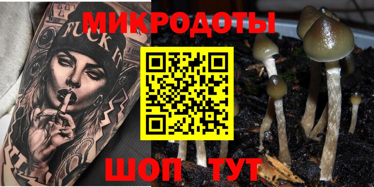 Псилоцибиновые грибы ЛСД Ессентуки
