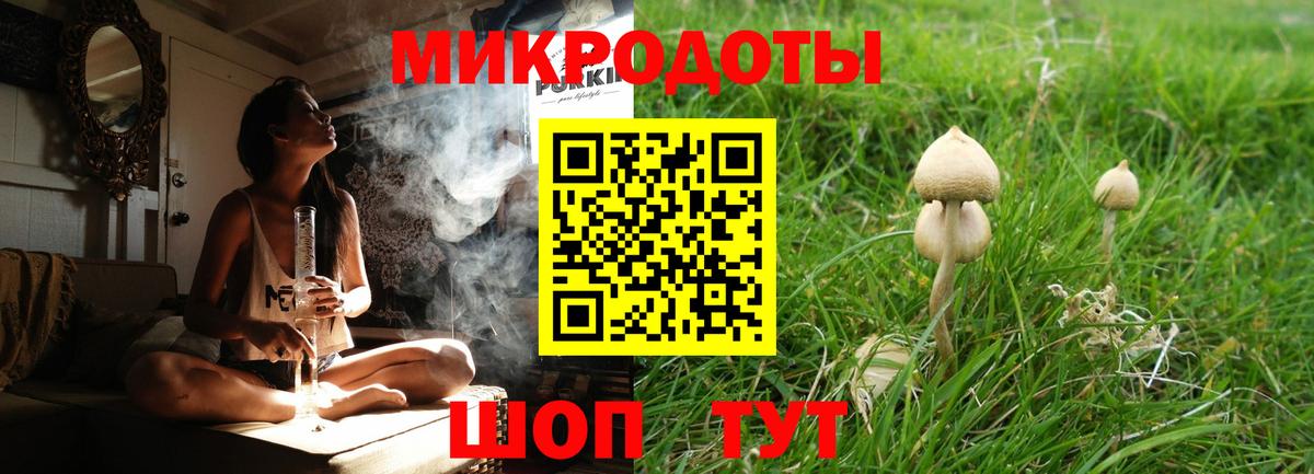 Псилоцибиновые грибы Psilocybine cubensis  Вход с VPN  Ессентуки 